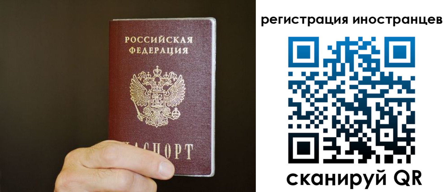прописка в Зернограде